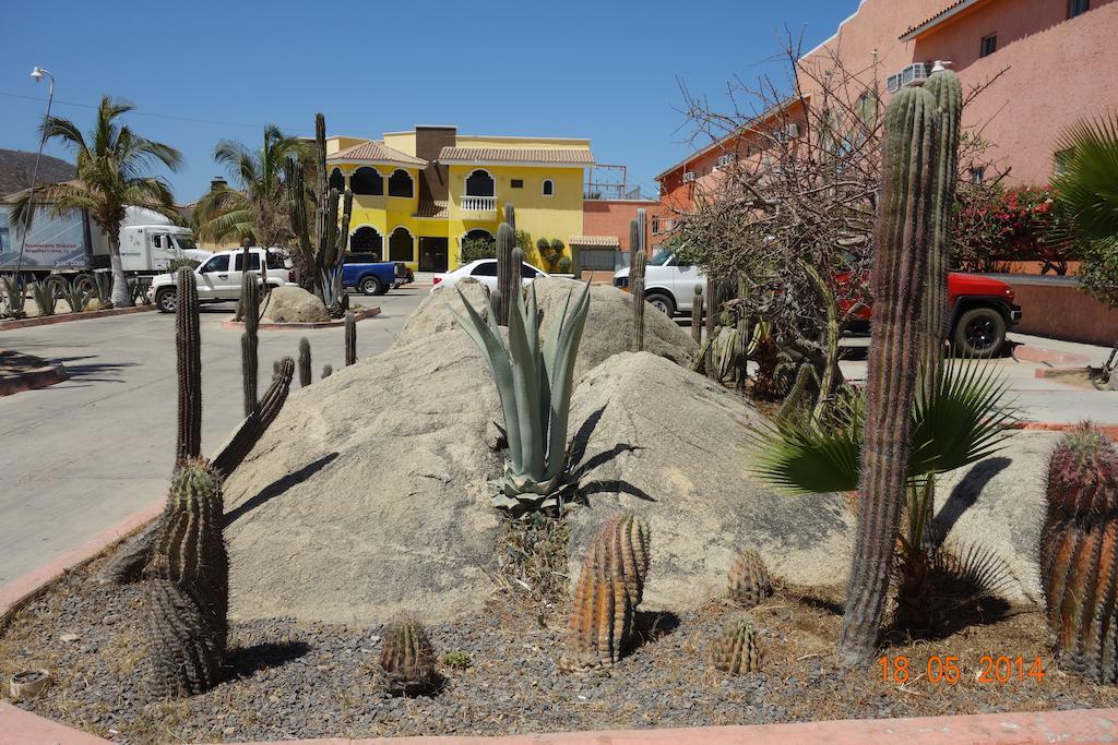 Oasis Los Cabos Ξενοδοχείο Κάβο σαν Λούκας Εξωτερικό φωτογραφία